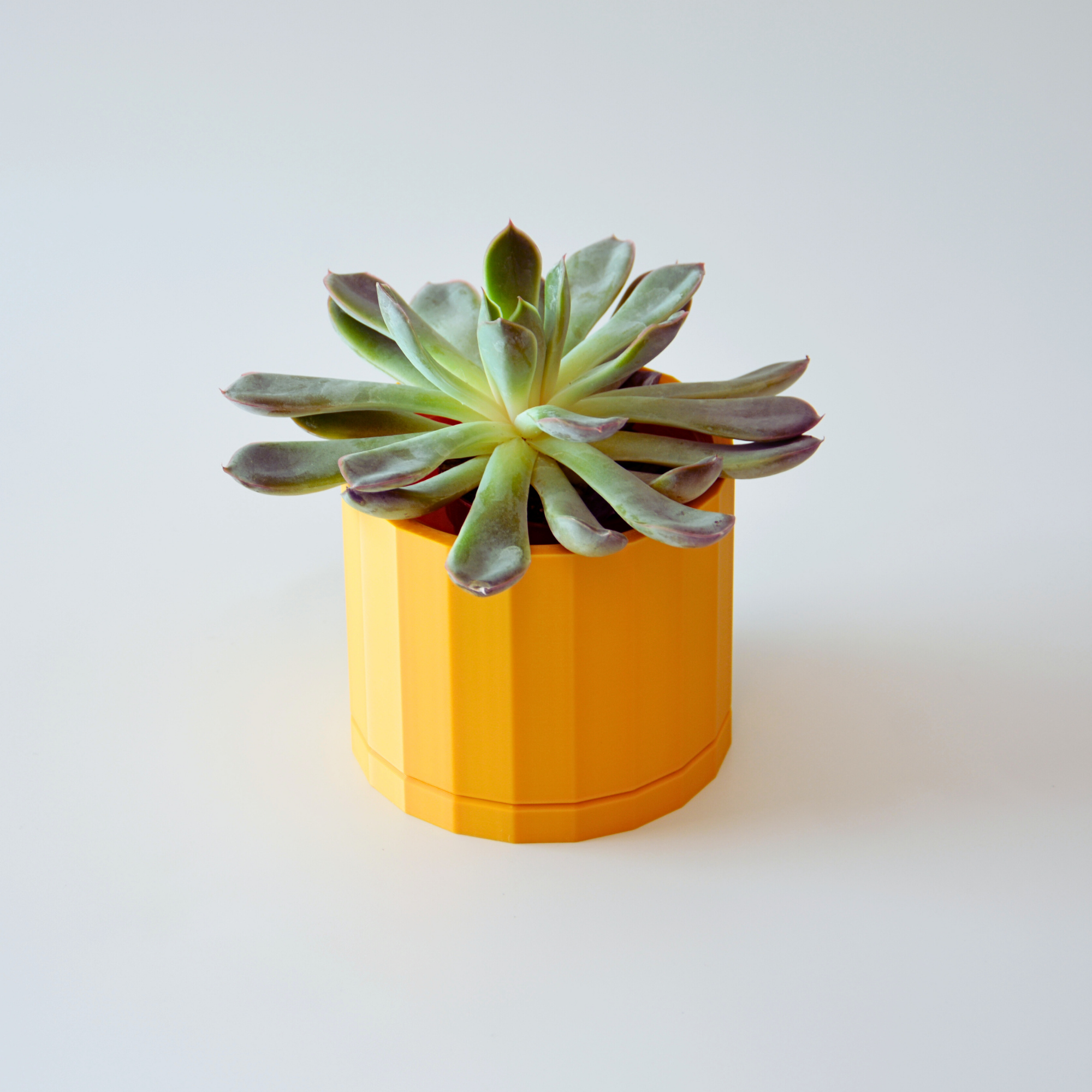 Facet an Indoor Planter with Drip Tray