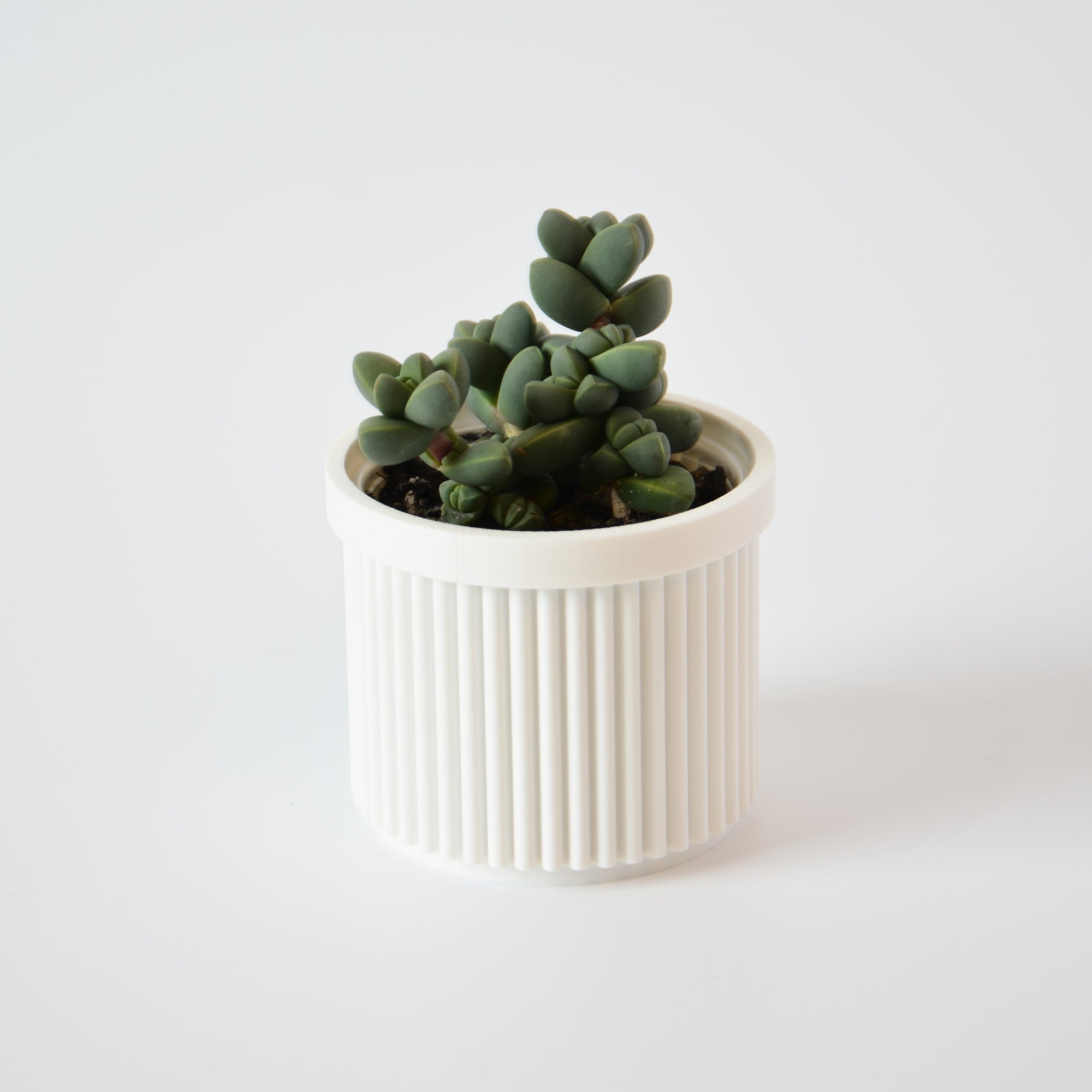 Desk Organizer Set