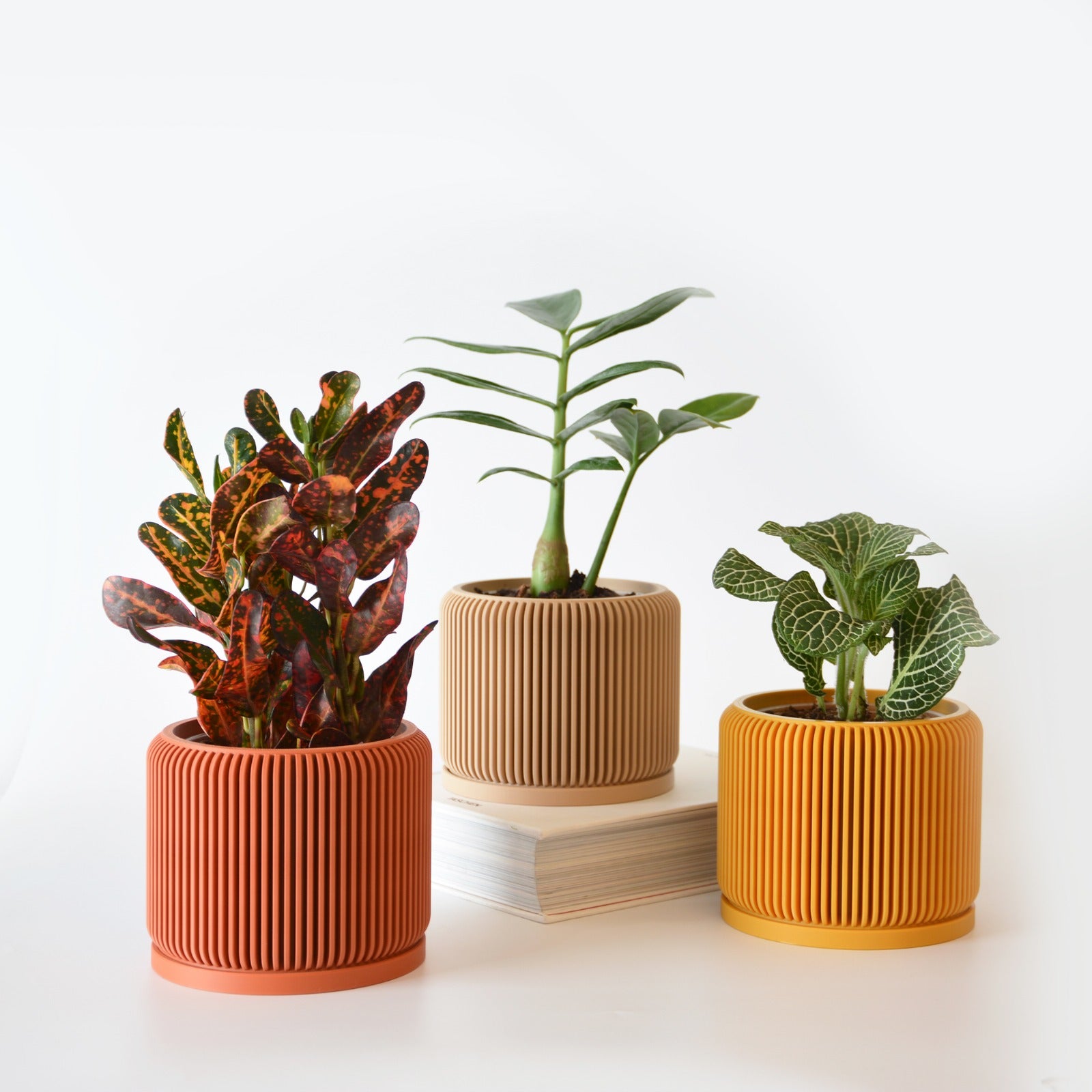Indoor Planter with Drip Tray