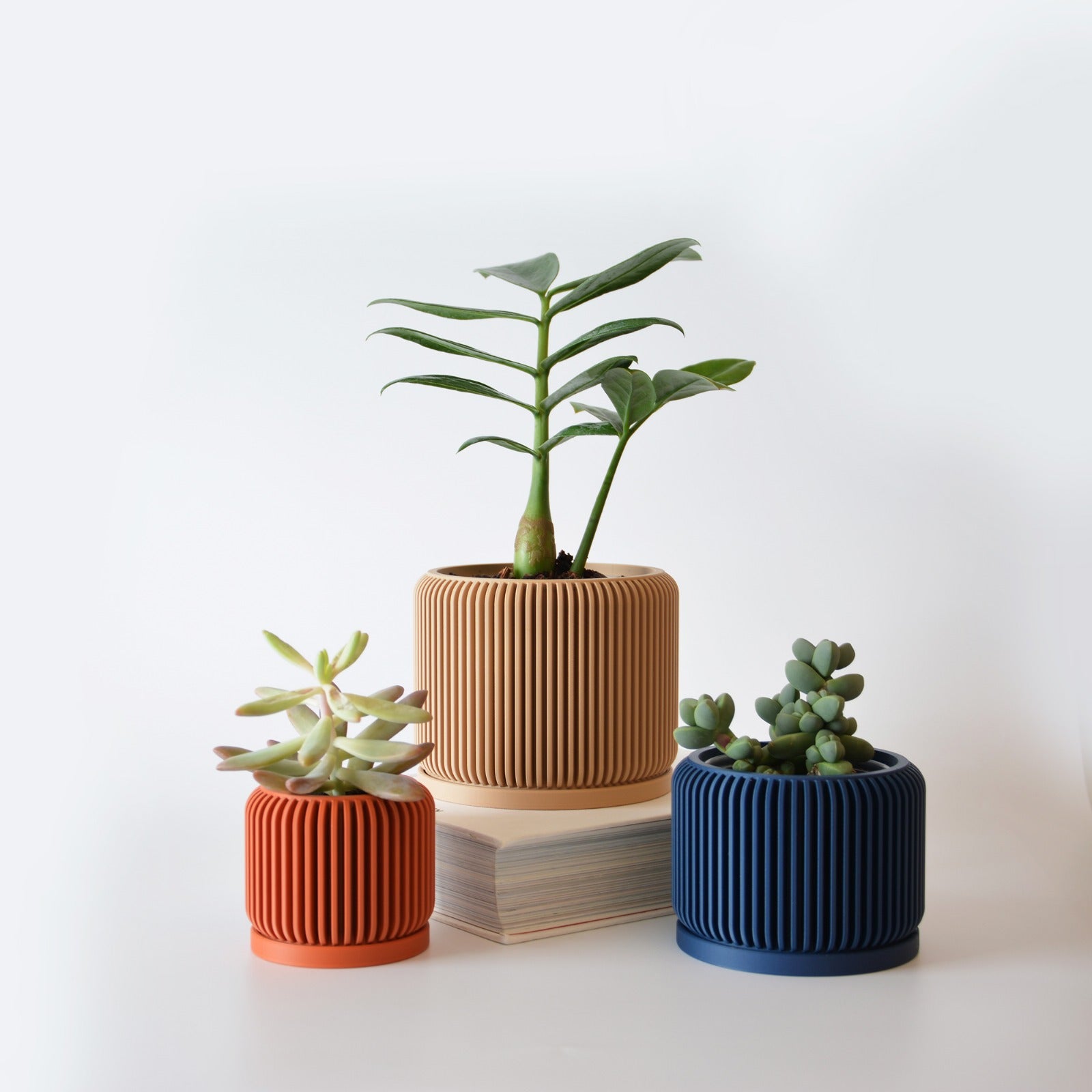 Indoor Planter with Drip Tray