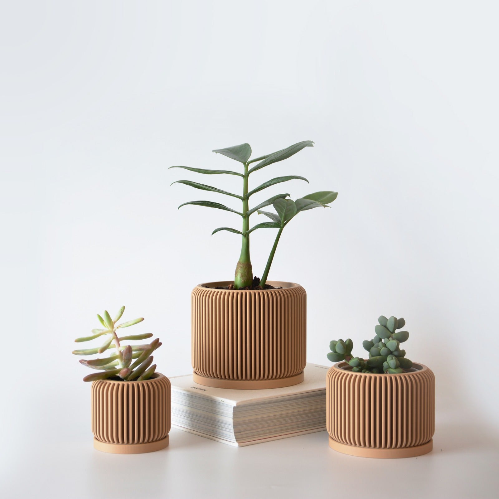 Indoor Planter with Drip Tray