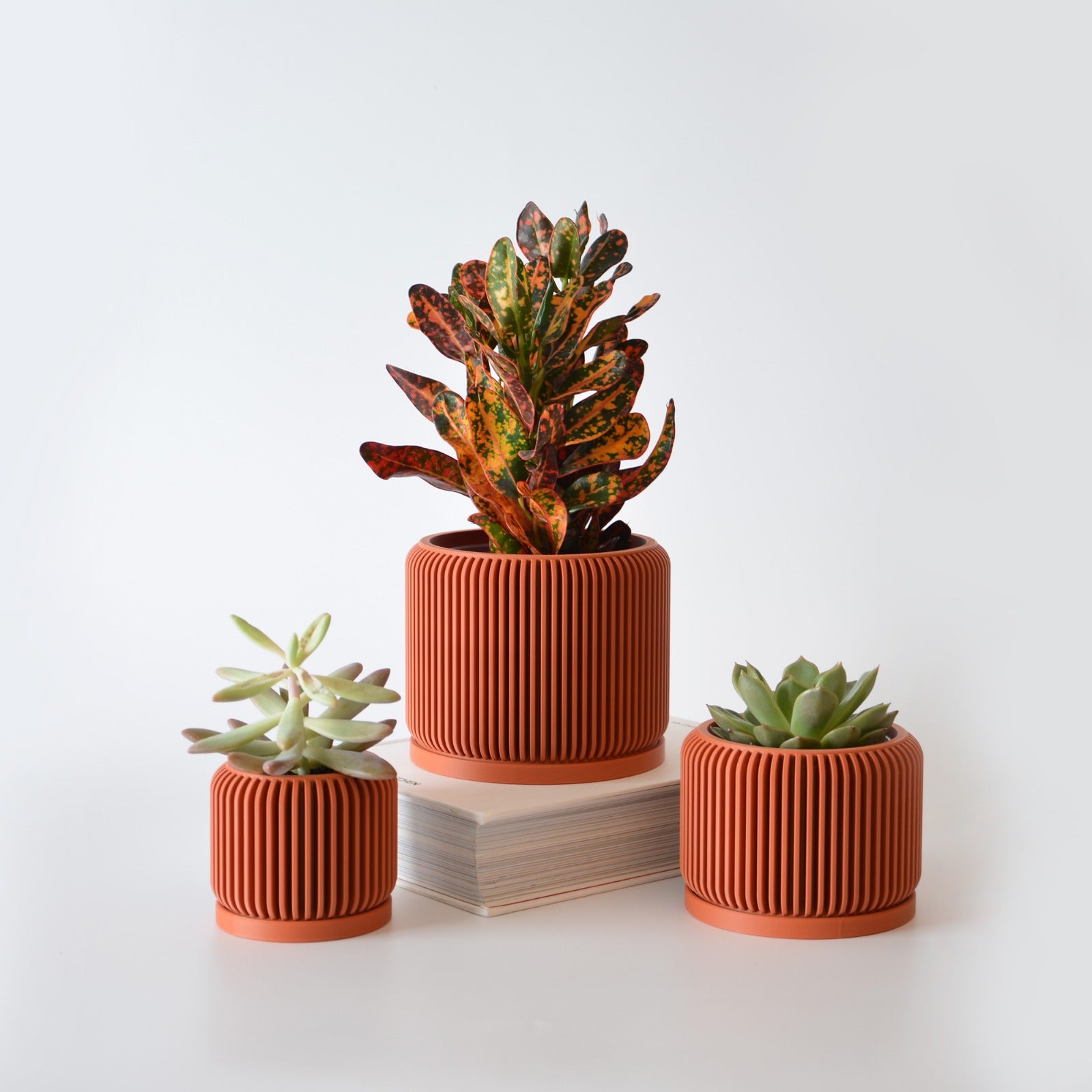 Indoor Planter with Drip Tray