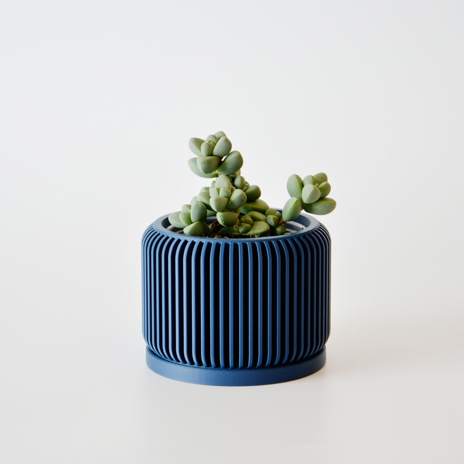 Indoor Planter with Drip Tray