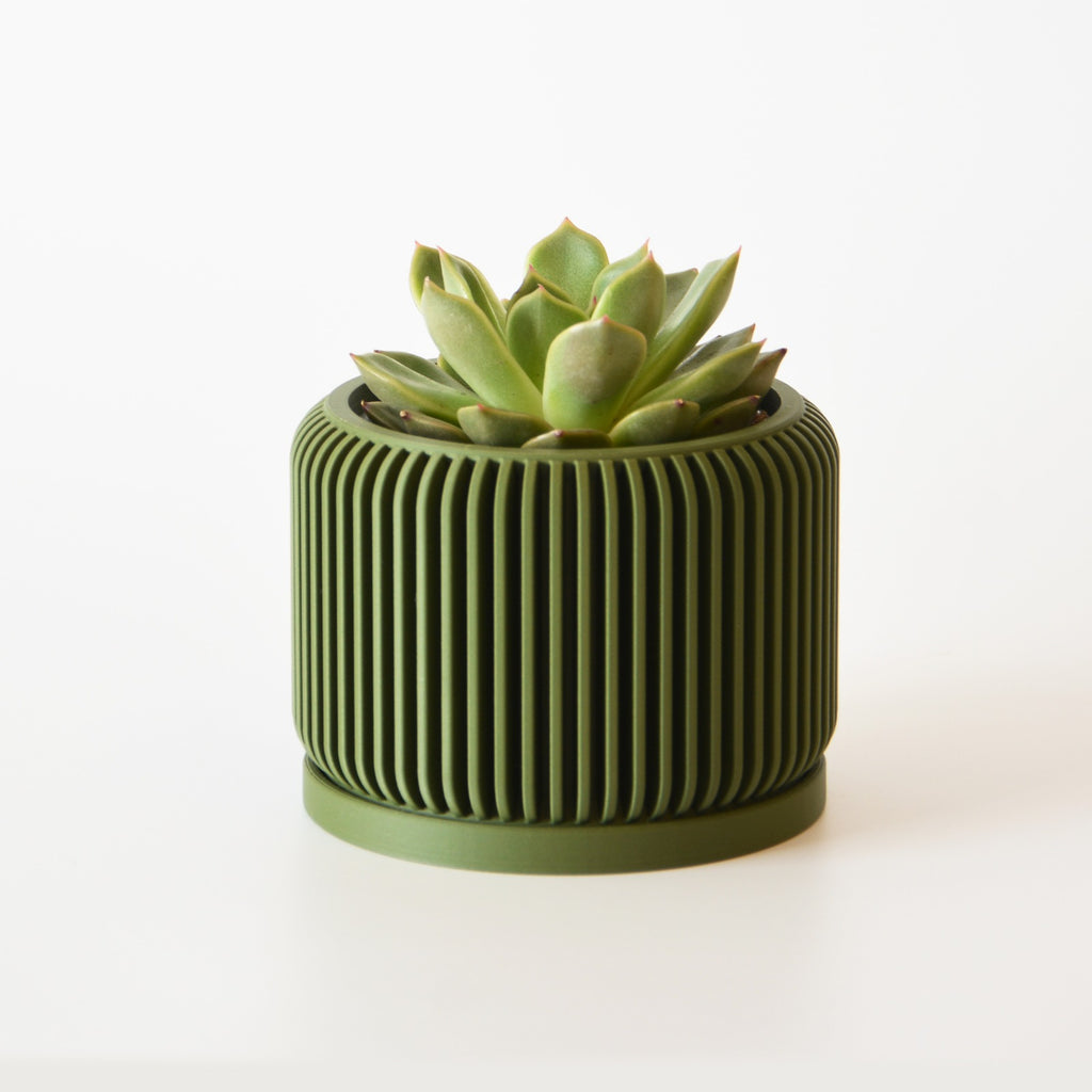 Indoor Planter with Drip Tray