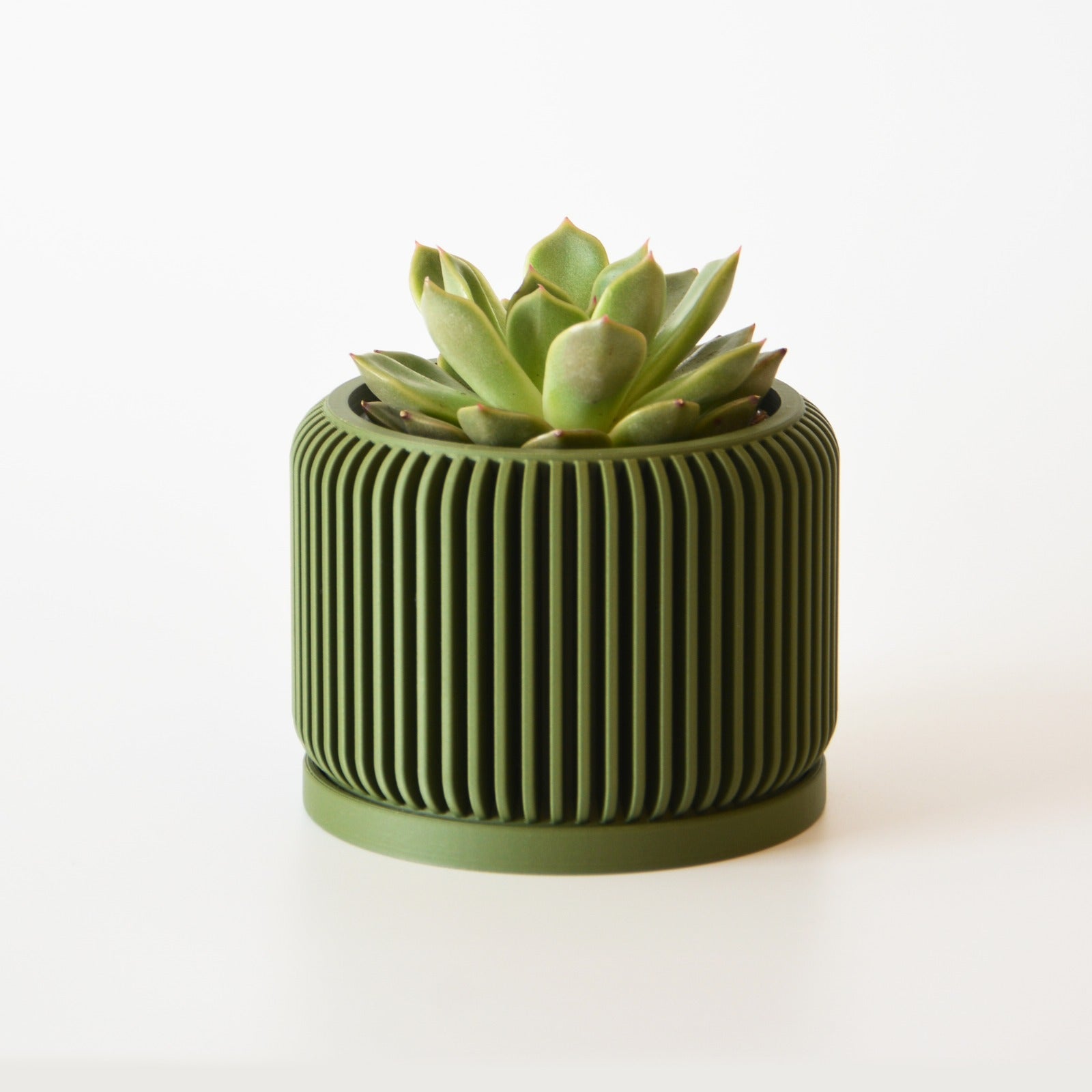 Indoor Planter with Drip Tray